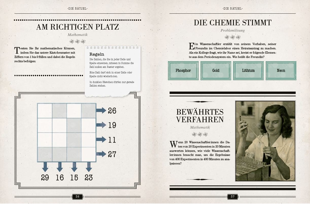 Einsteins Rätselbuch – Logikrätsel für geniale Köpfe