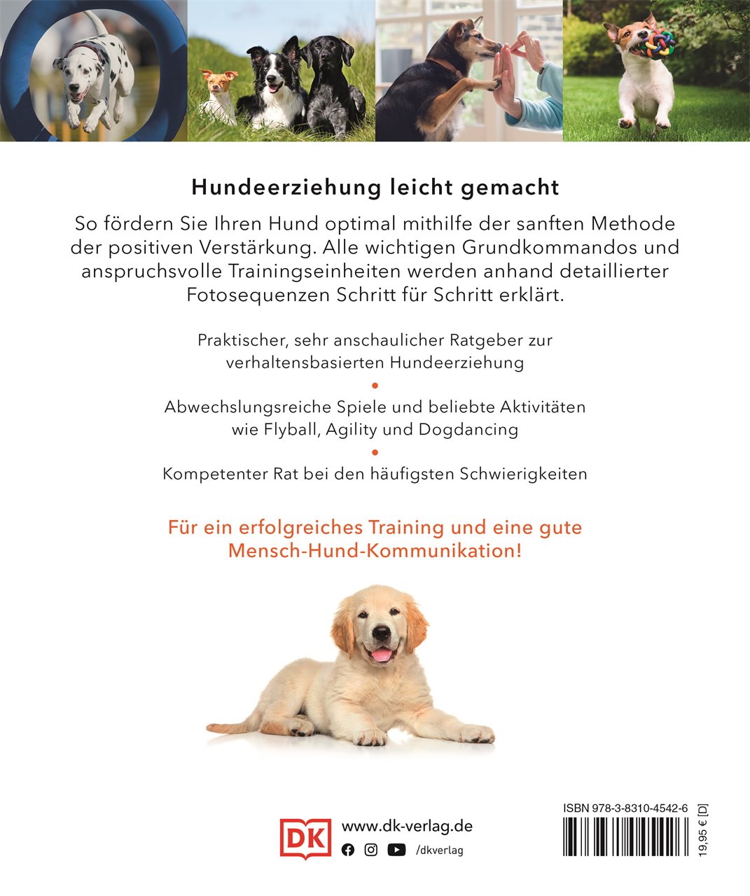 Hundeerziehung ganz einfach