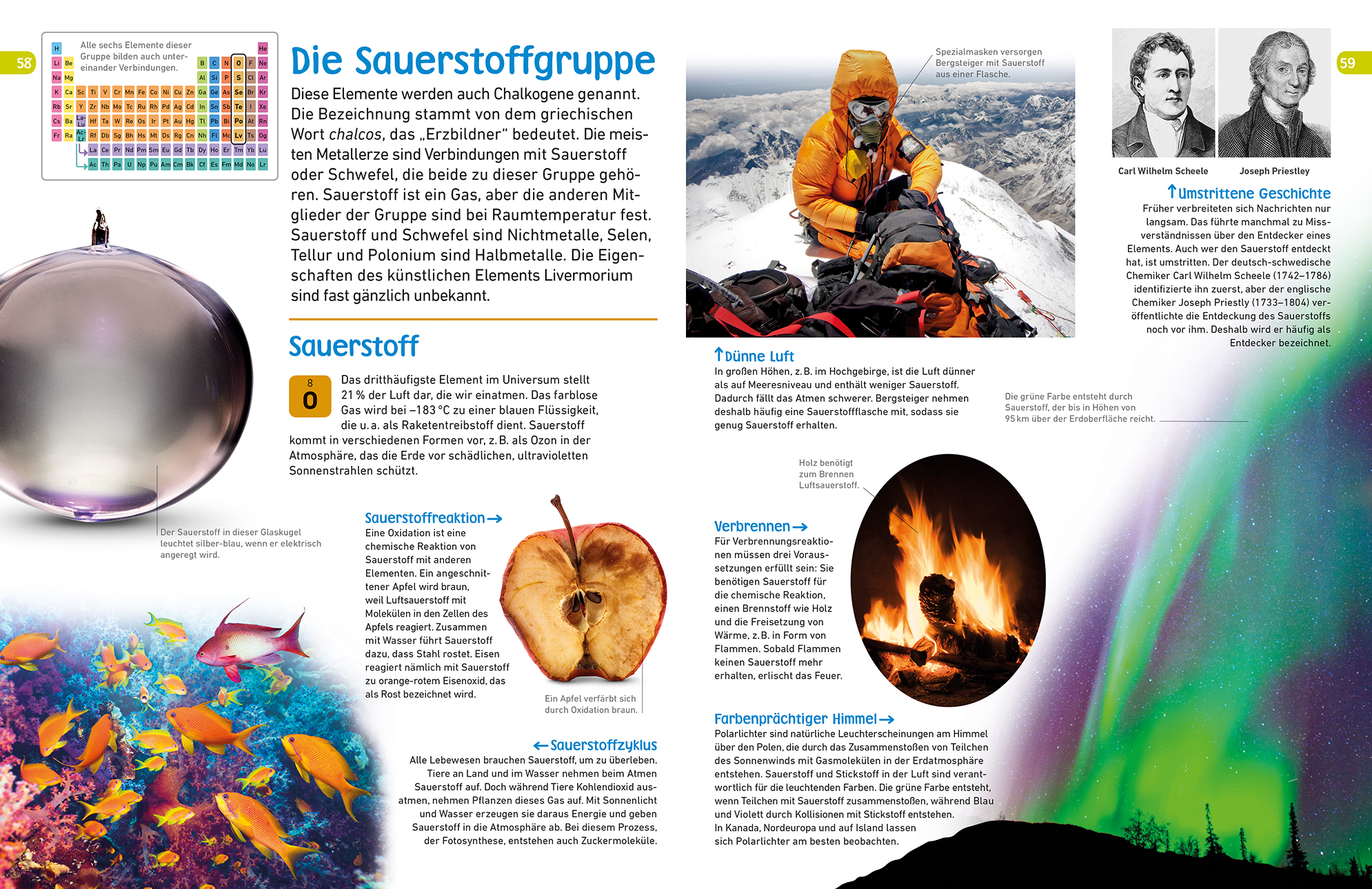 memo Wissen entdecken. Chemische Elemente