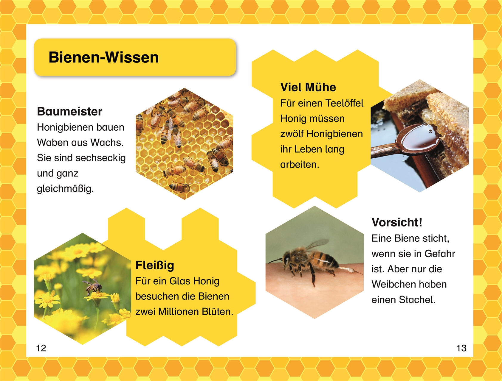 SUPERLESER! Wir brauchen die Bienen