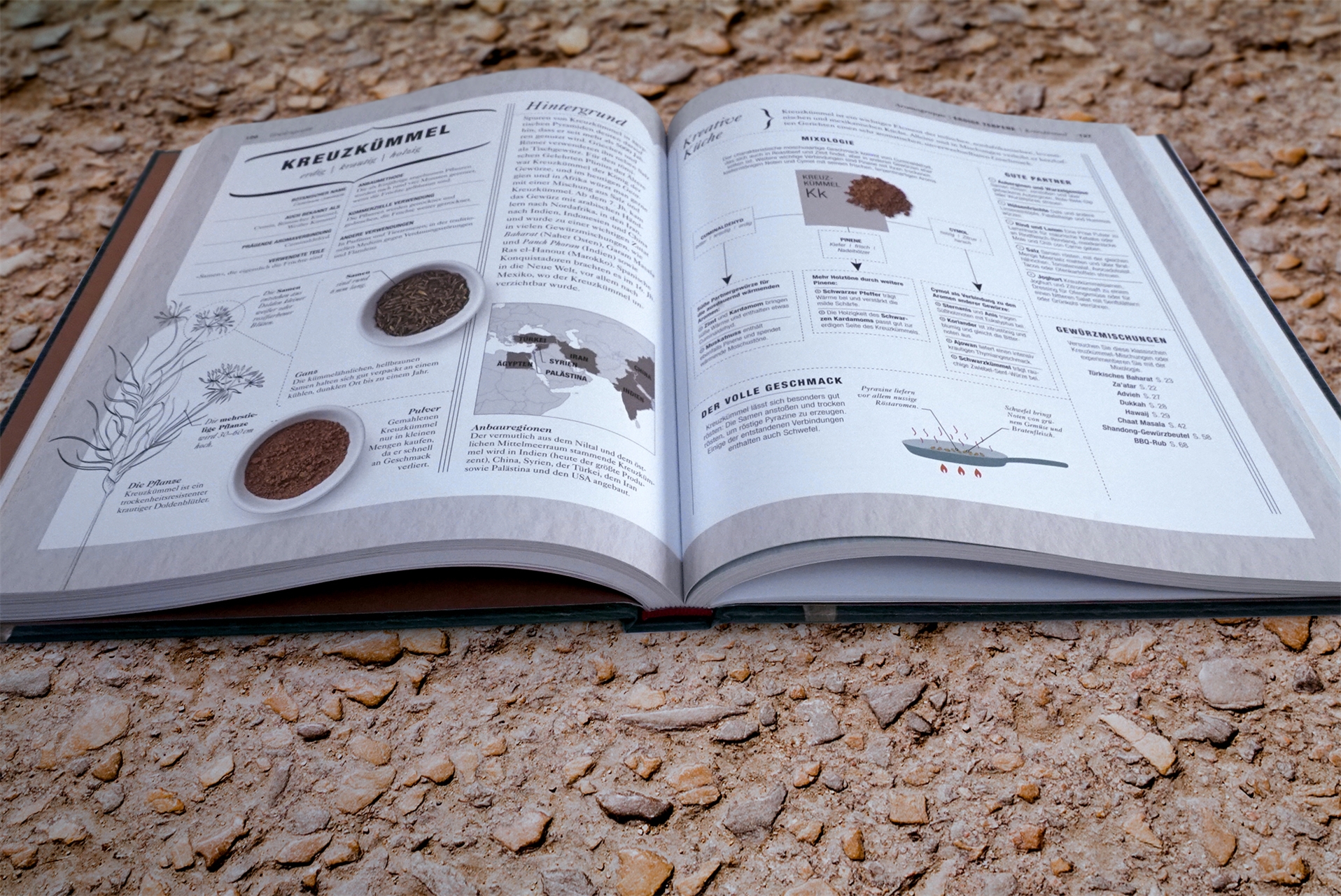 Wo in aller Welt. Dinosaurier-Atlas