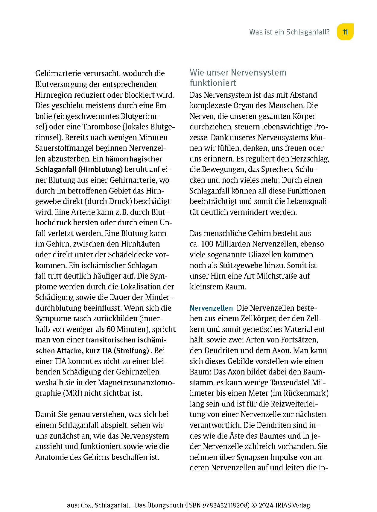 Schlaganfall - Das Übungsbuch