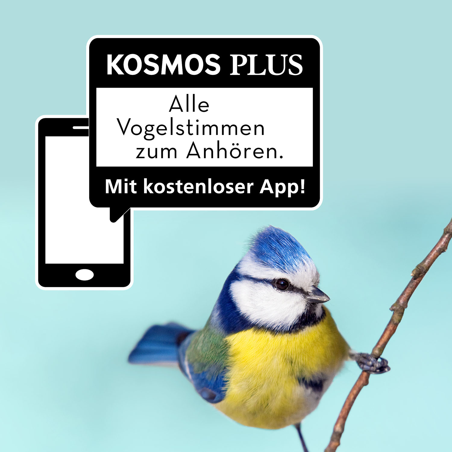 Welcher Gartenvogel ist das? Kindernaturführer