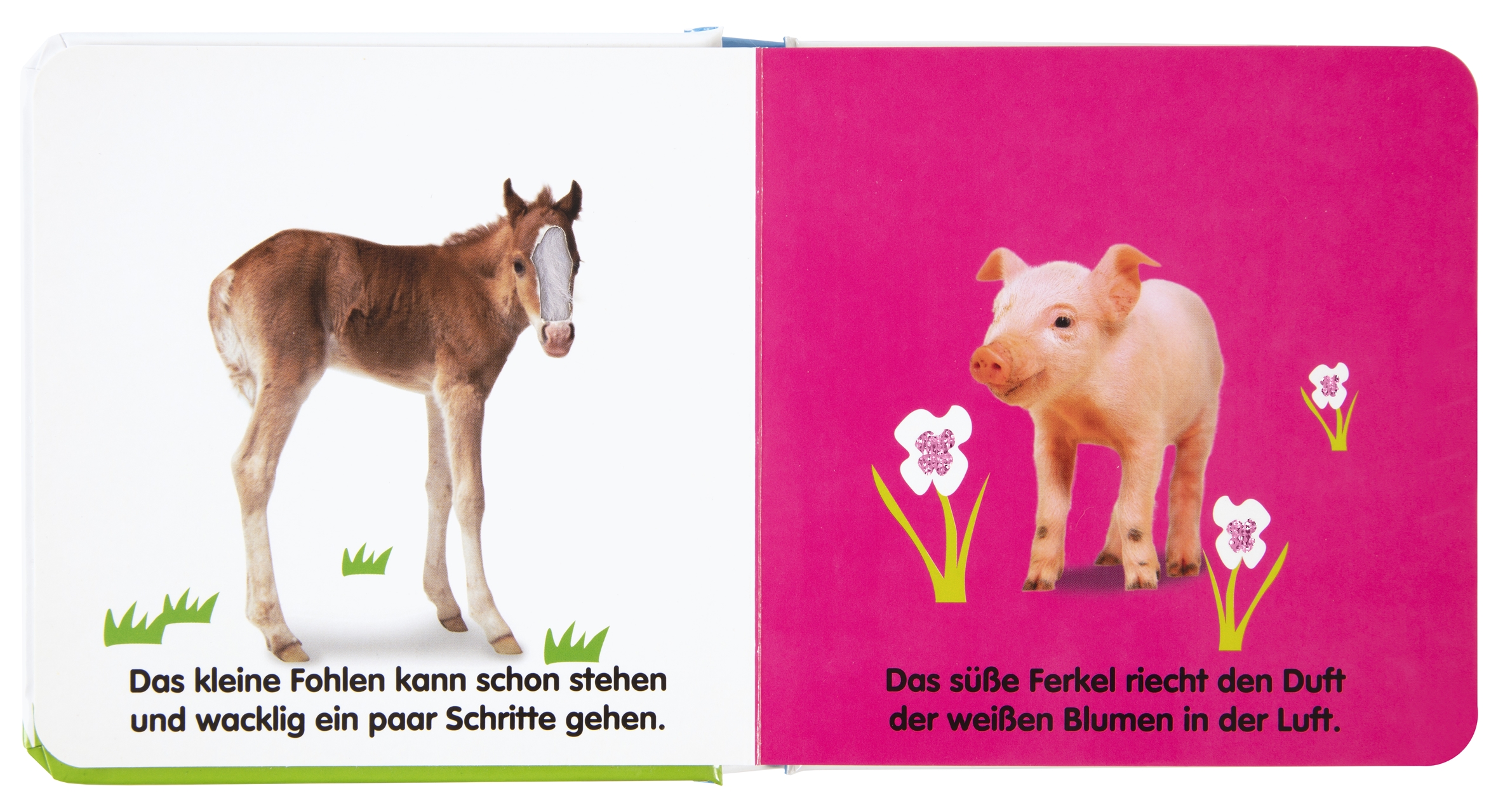 Mein Fühlbilderbuch. Tierkinder