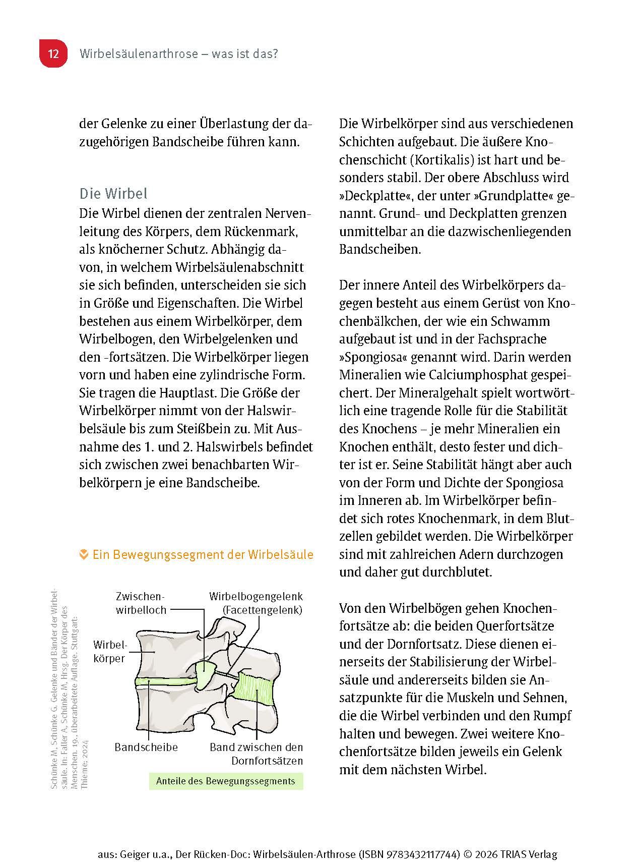 Der Rücken-Doc: Wirbelsäulen-Arthrose