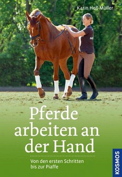 Pferde arbeiten an der Hand