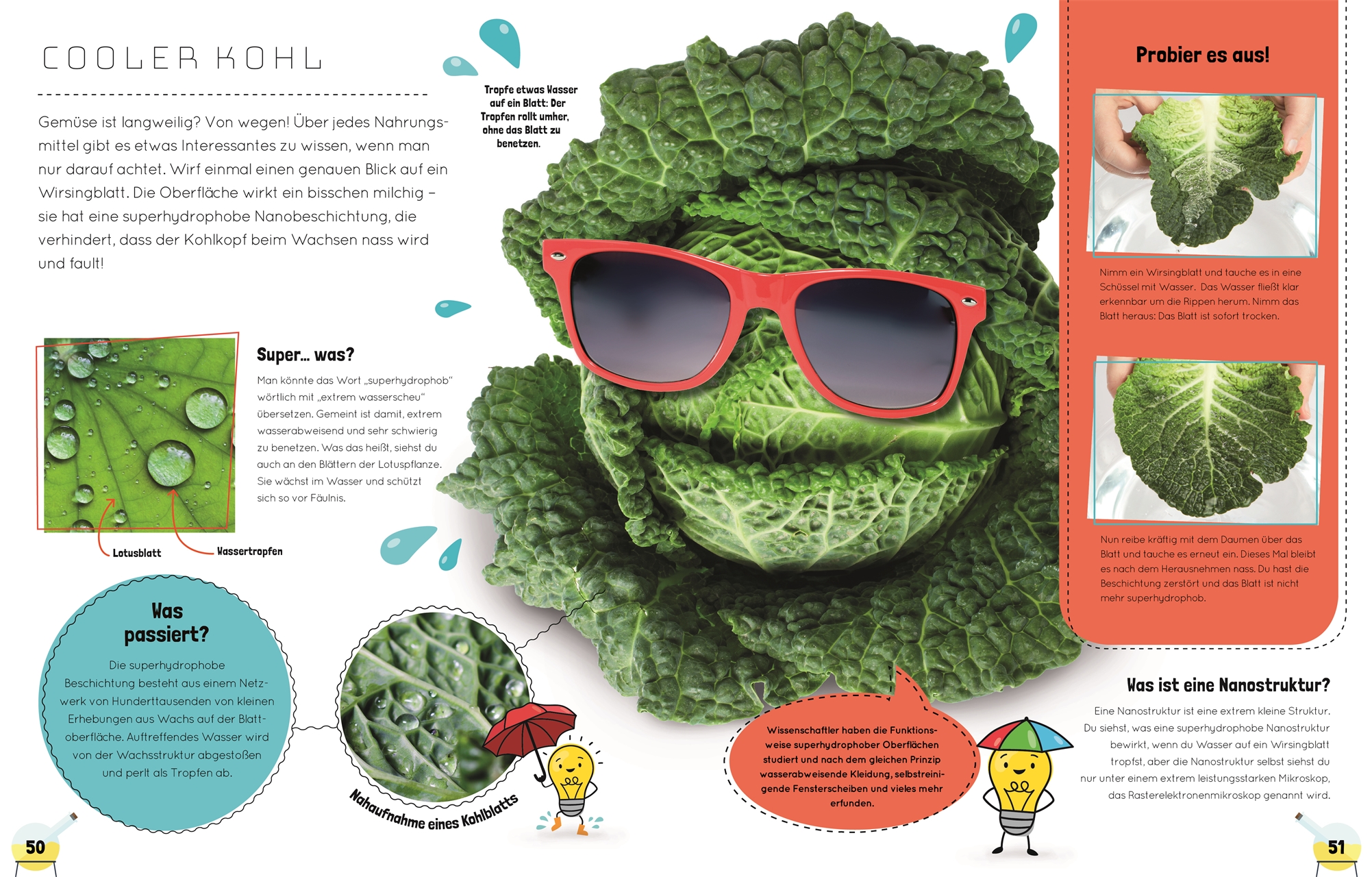 Das total verrückte Küchenlabor