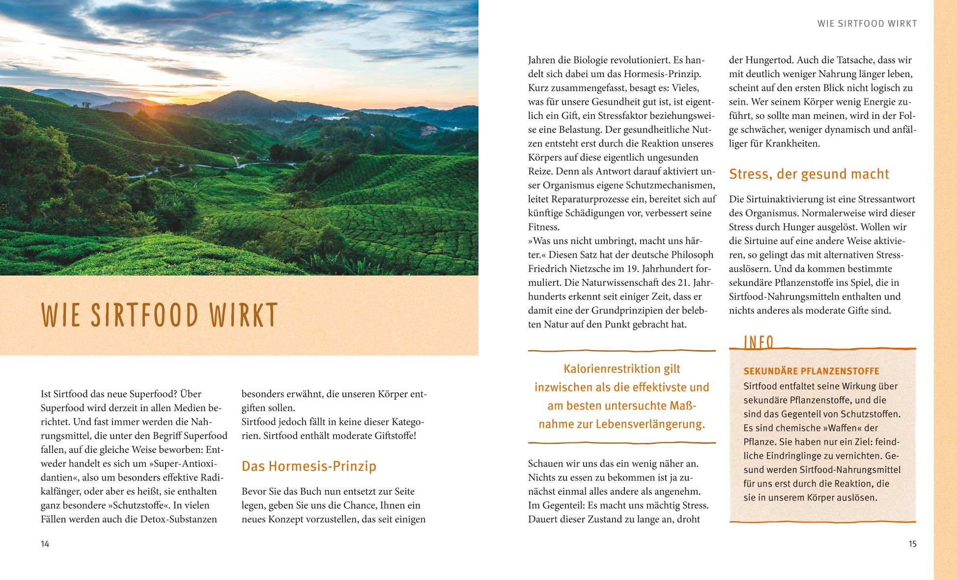 Abnehmen mit Sirtfood