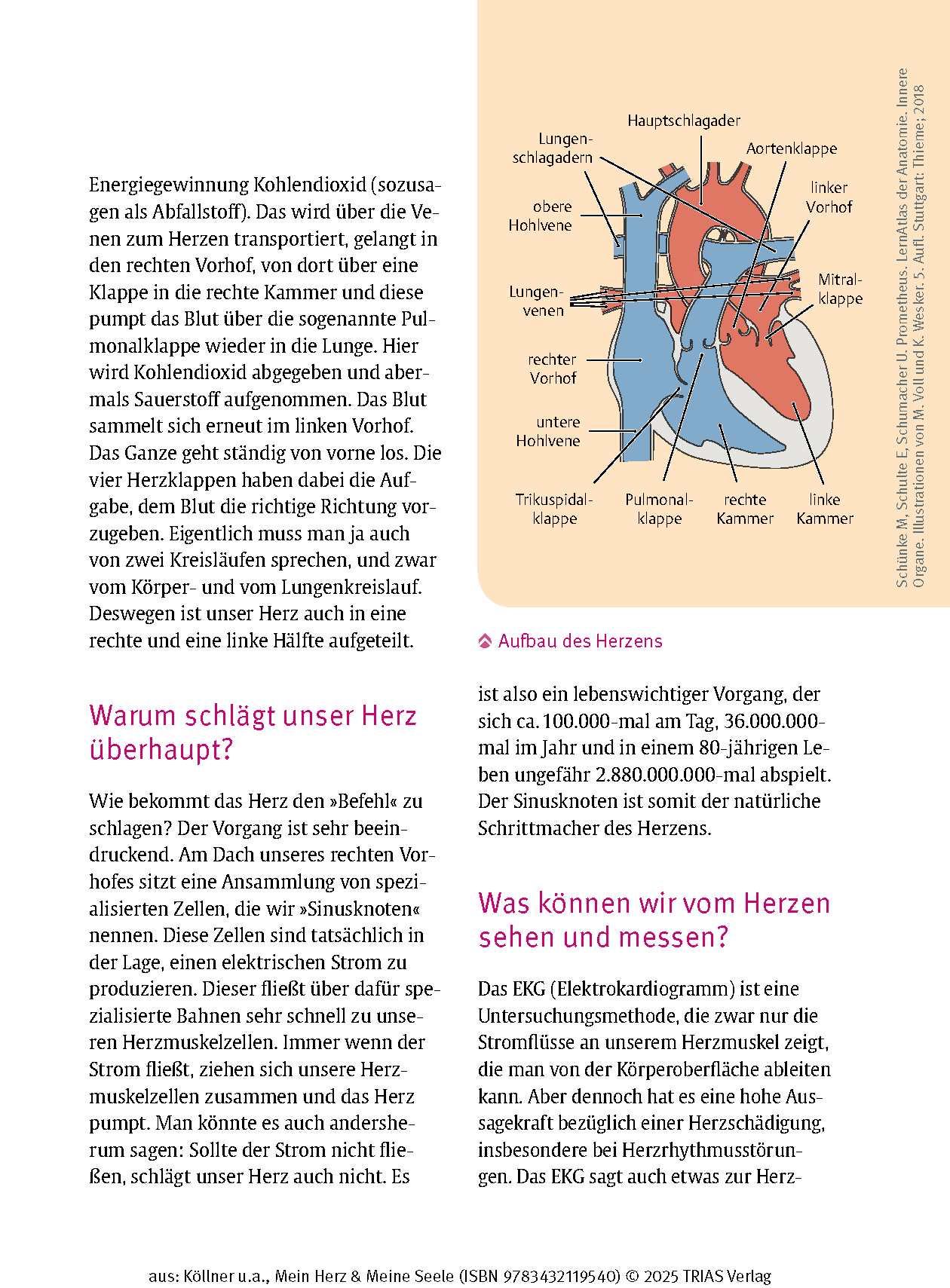 Mein Herz & Meine Seele