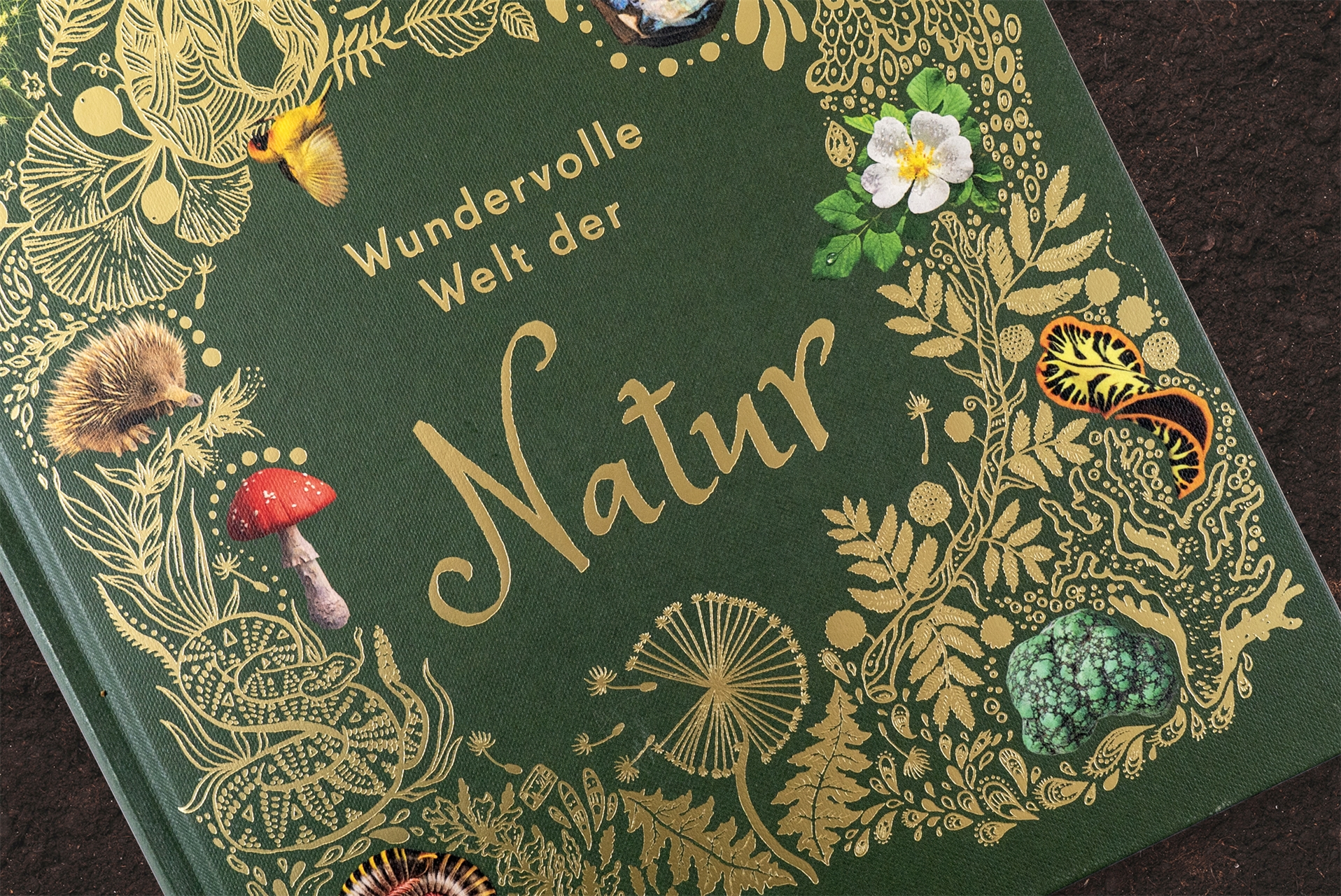 Wundervolle Welt der Natur Wundervolle Welt der Natur
