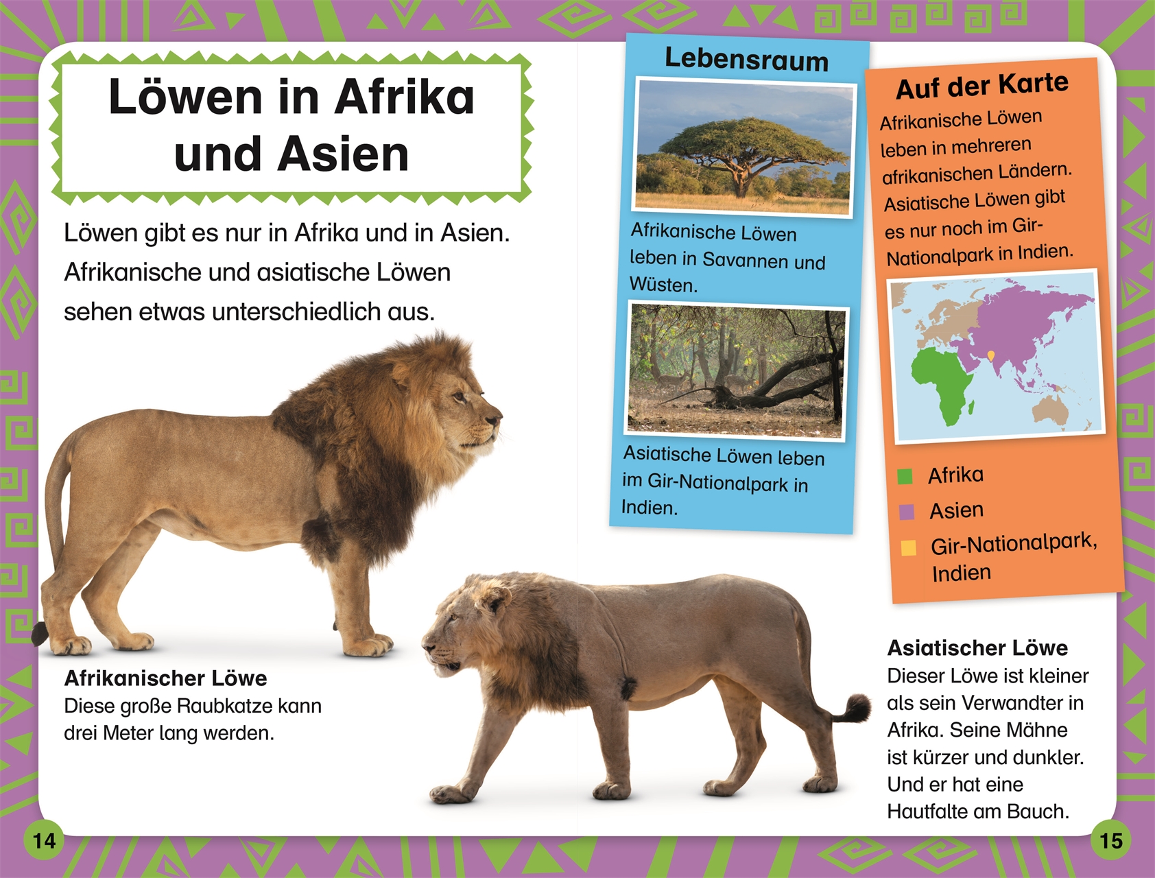 SUPERLESER! Löwen-Abenteuer