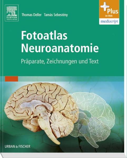 Fotoatlas Neuroanatomie