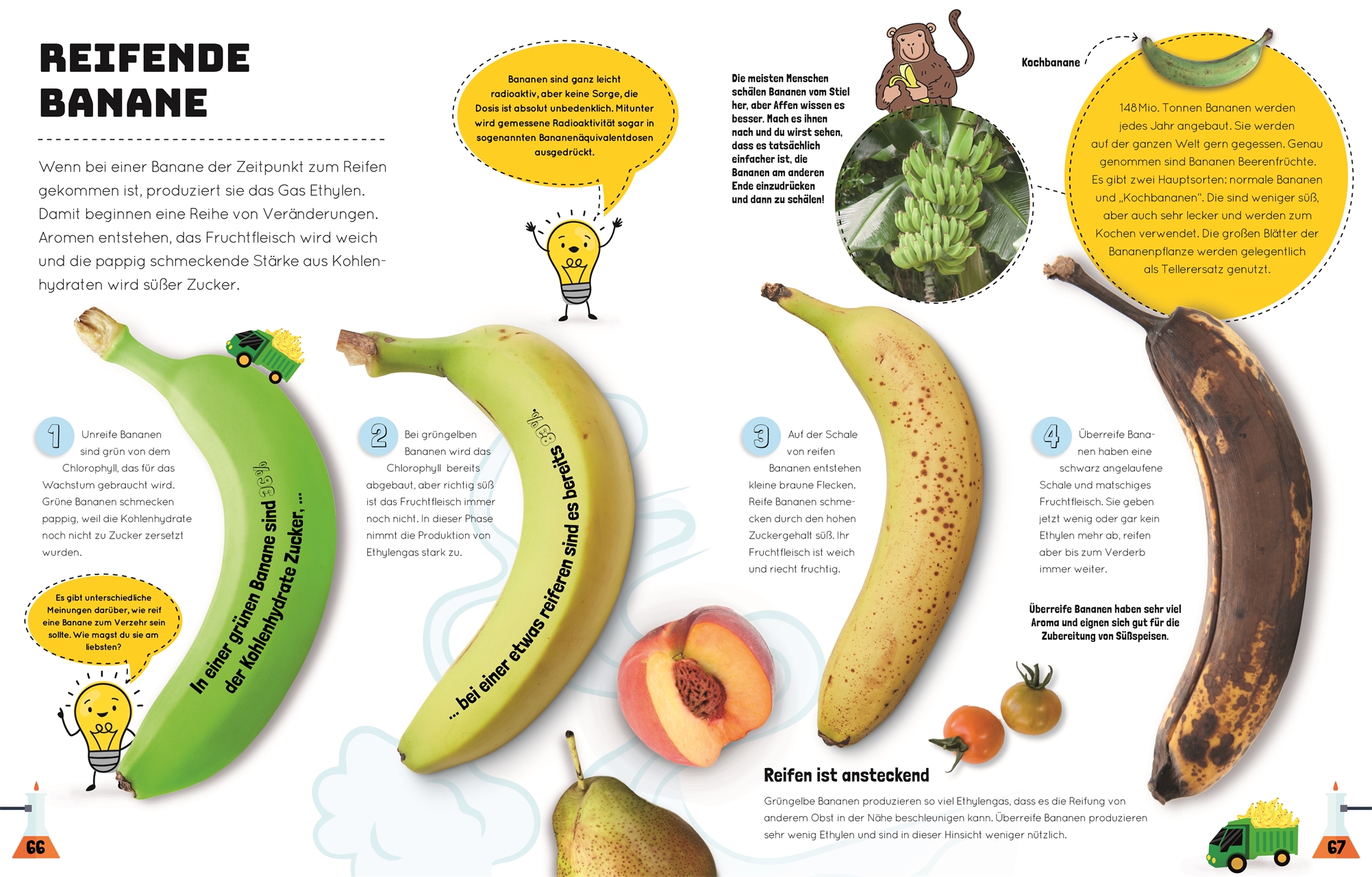 Das total verrückte Küchenlabor