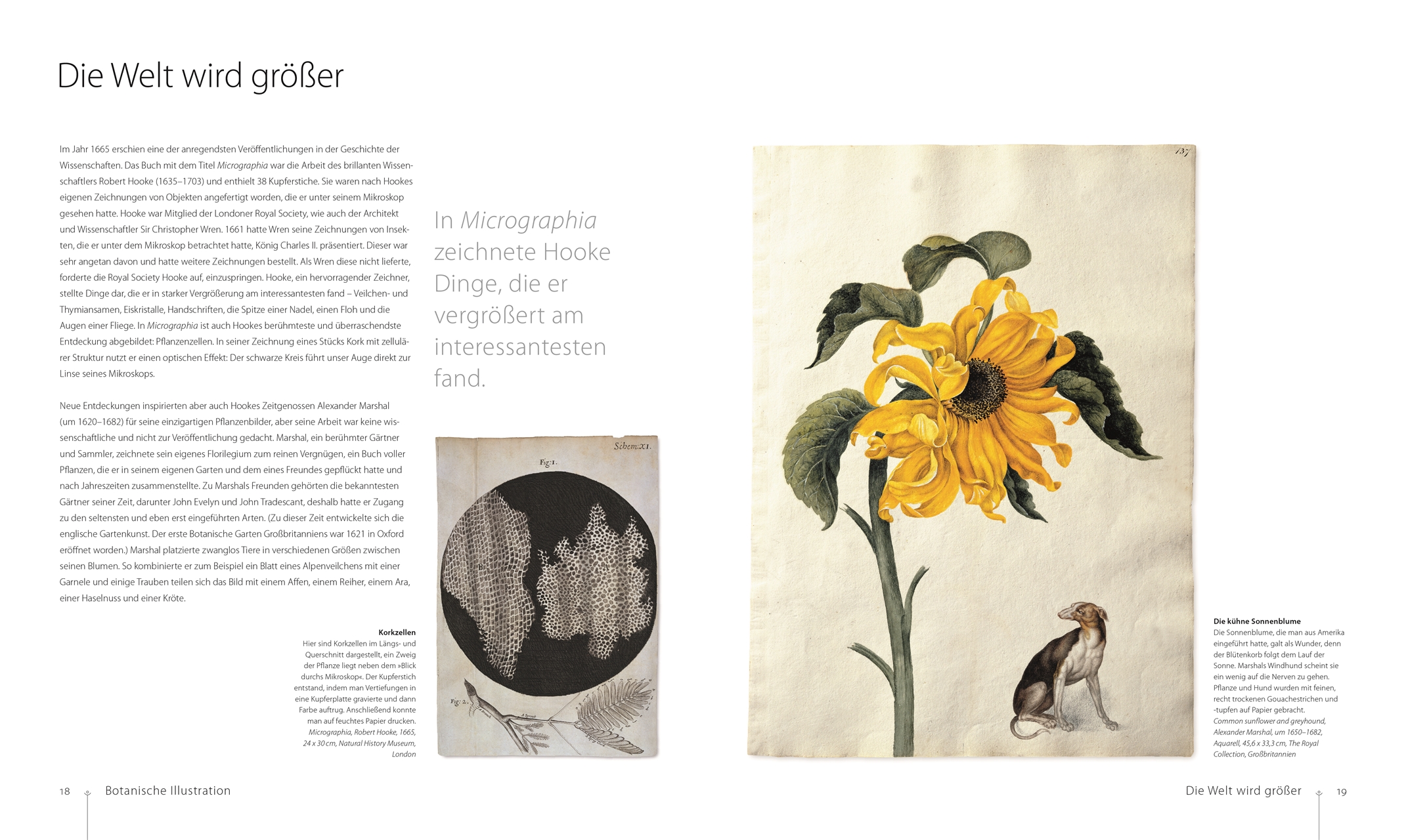 Botanik für Künstler