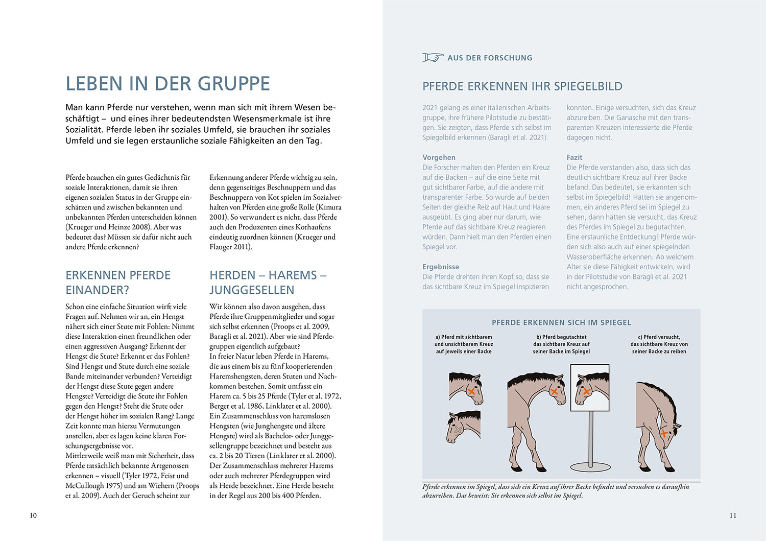 Forschung trifft Pferd Forschung trifft Pferd