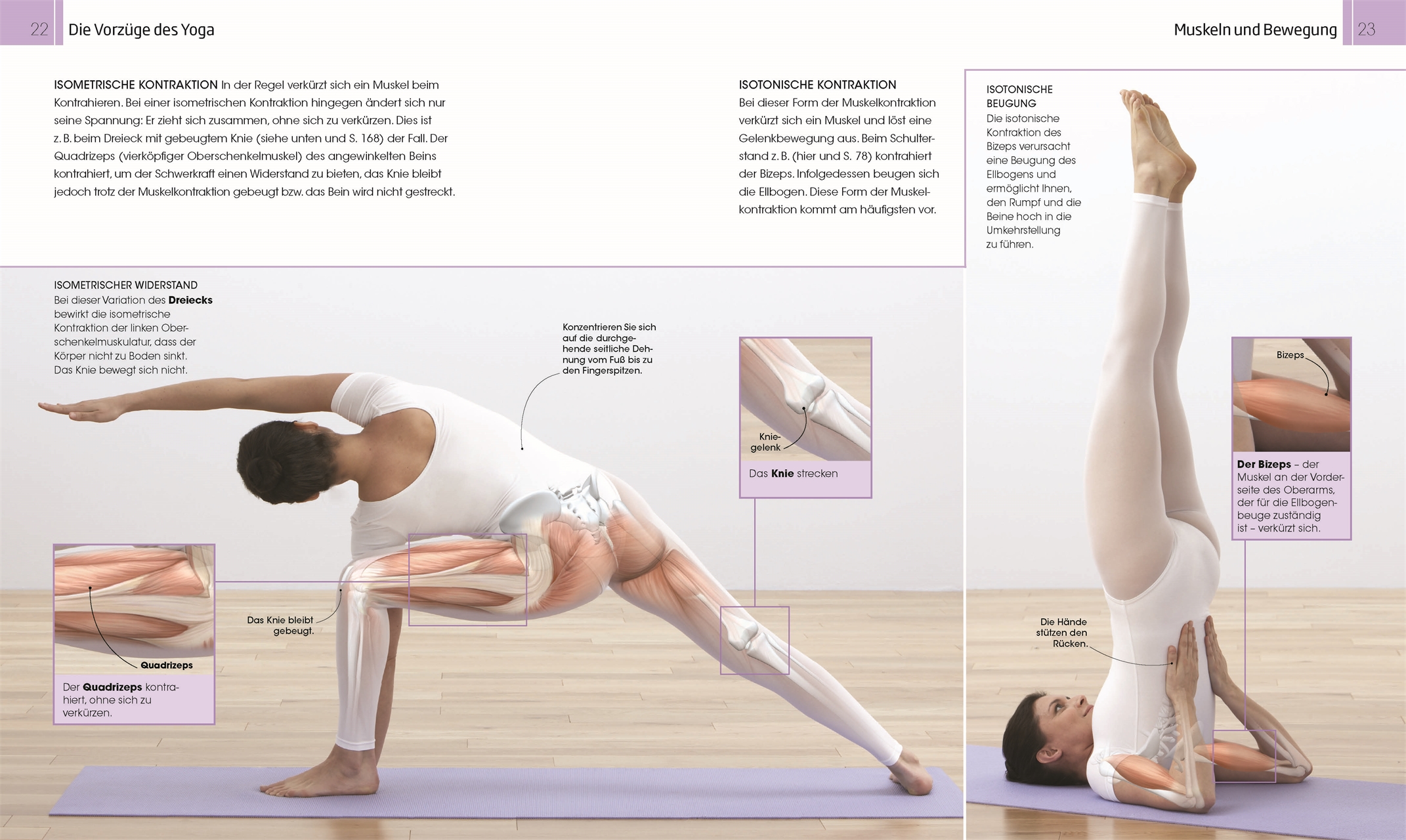 Besser leben mit Yoga