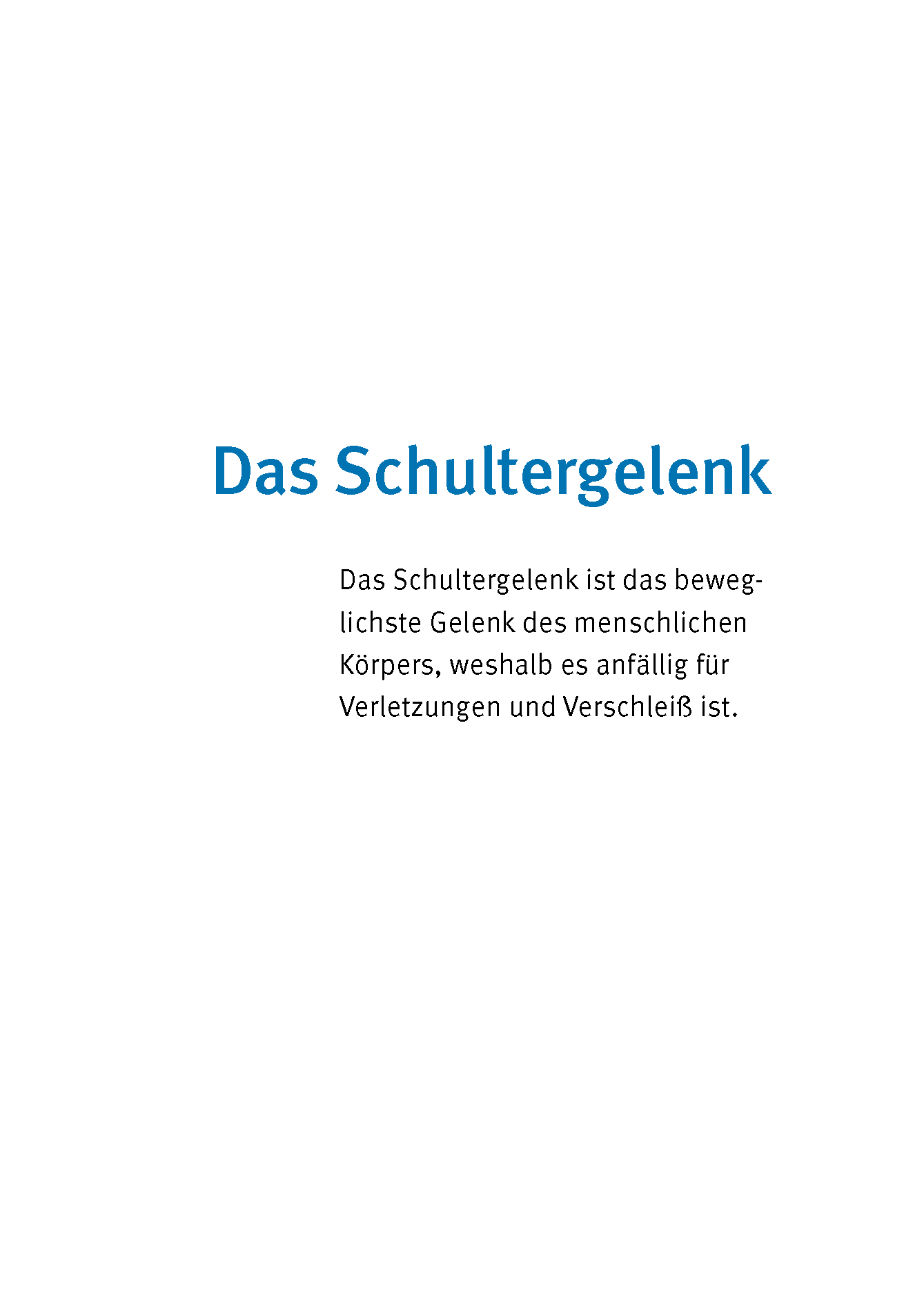 Experten-Sprechstunde Schulter