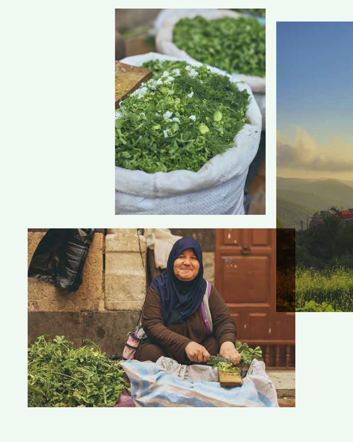Beirut - Das Kochbuch Beirut - Das Kochbuch