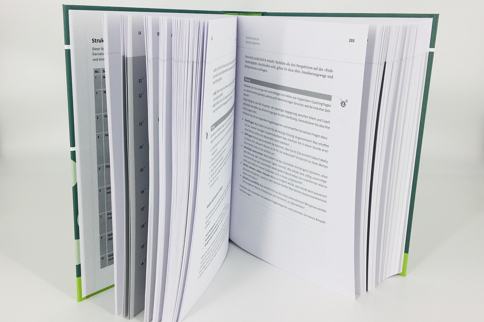 Handbuch Coaching und Beratung