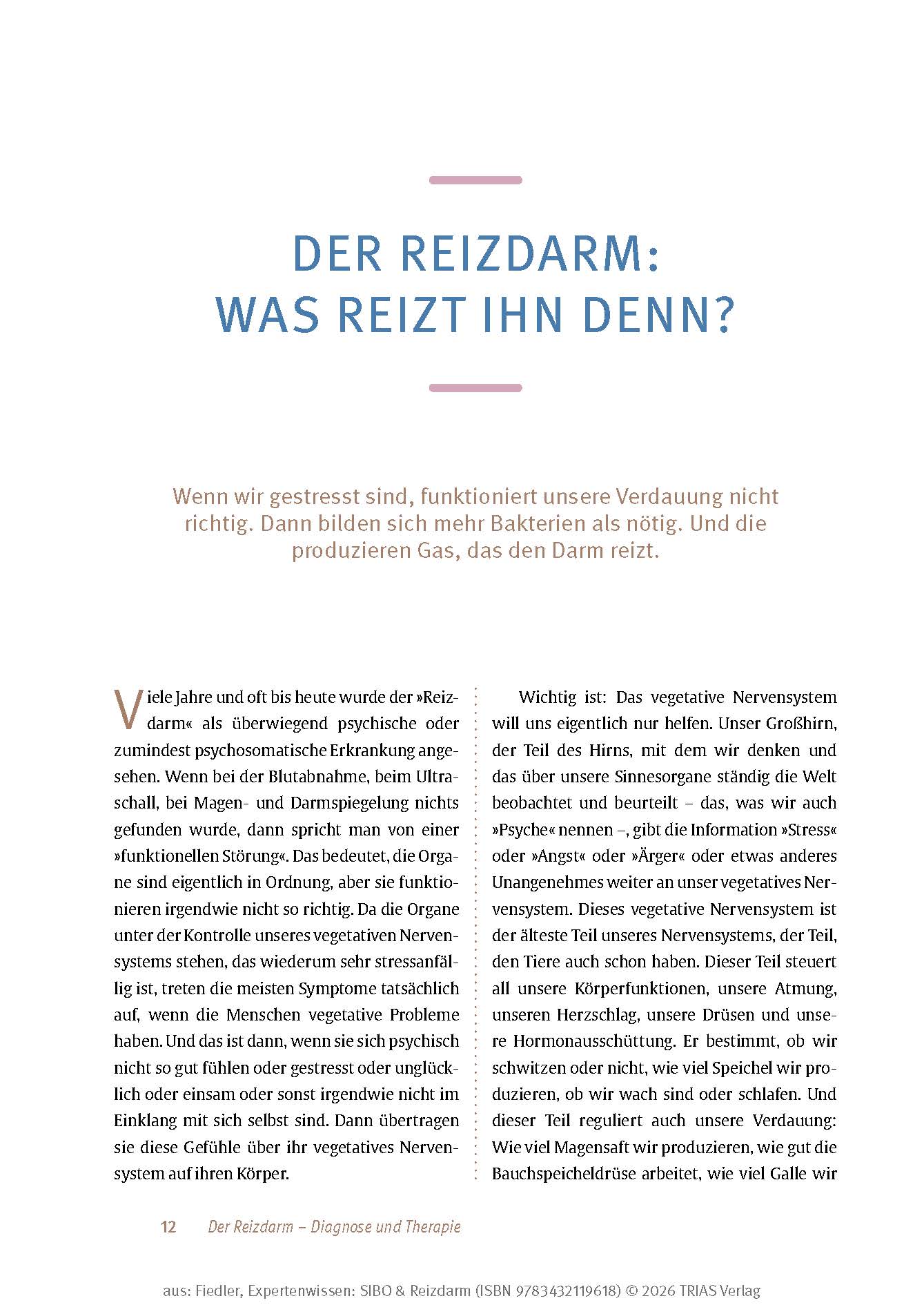 Expertenwissen: SIBO & Reizdarm