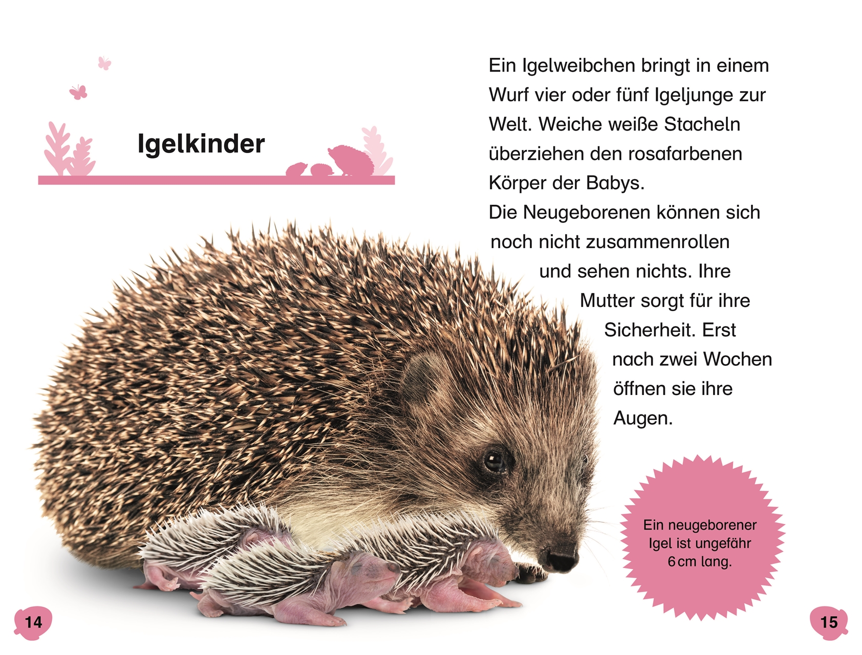 SUPERLESER! Hallo, Igel! SUPERLESER! Hallo, Igel!