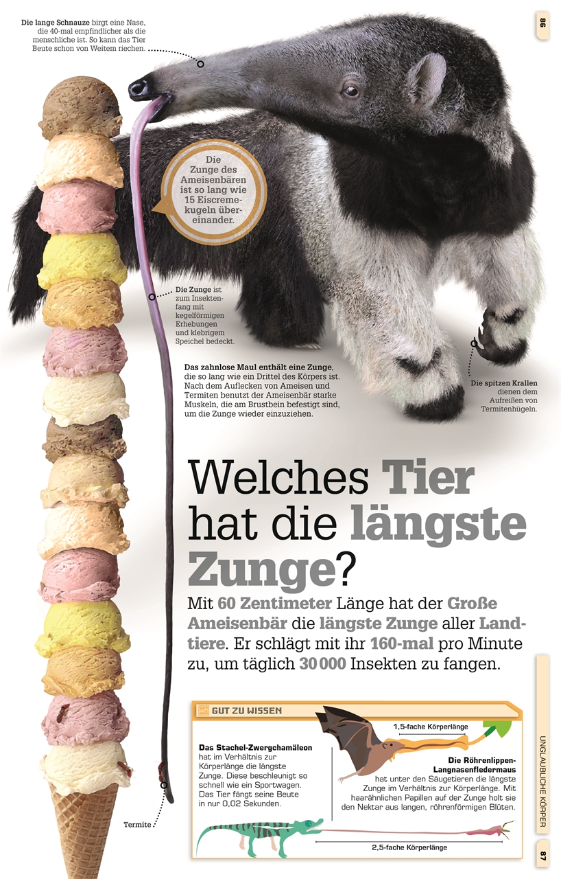 Total verrückte Tiere