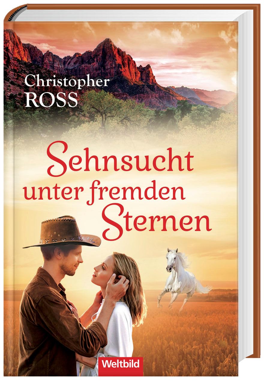 Sehnsucht unter fremden Sternen: Roman
