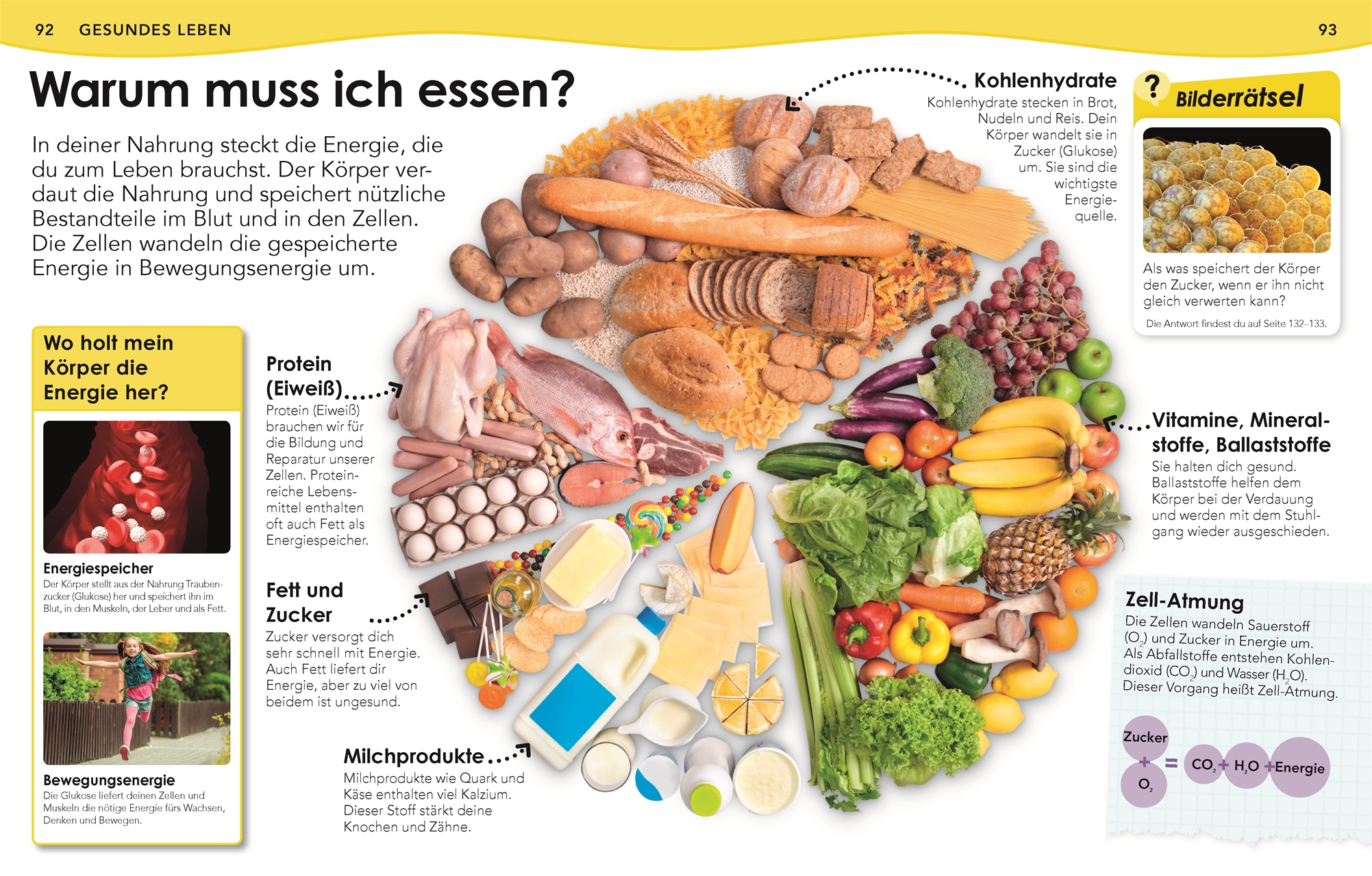 Weshalb? Deshalb! Körper Weshalb? Deshalb! Körper
