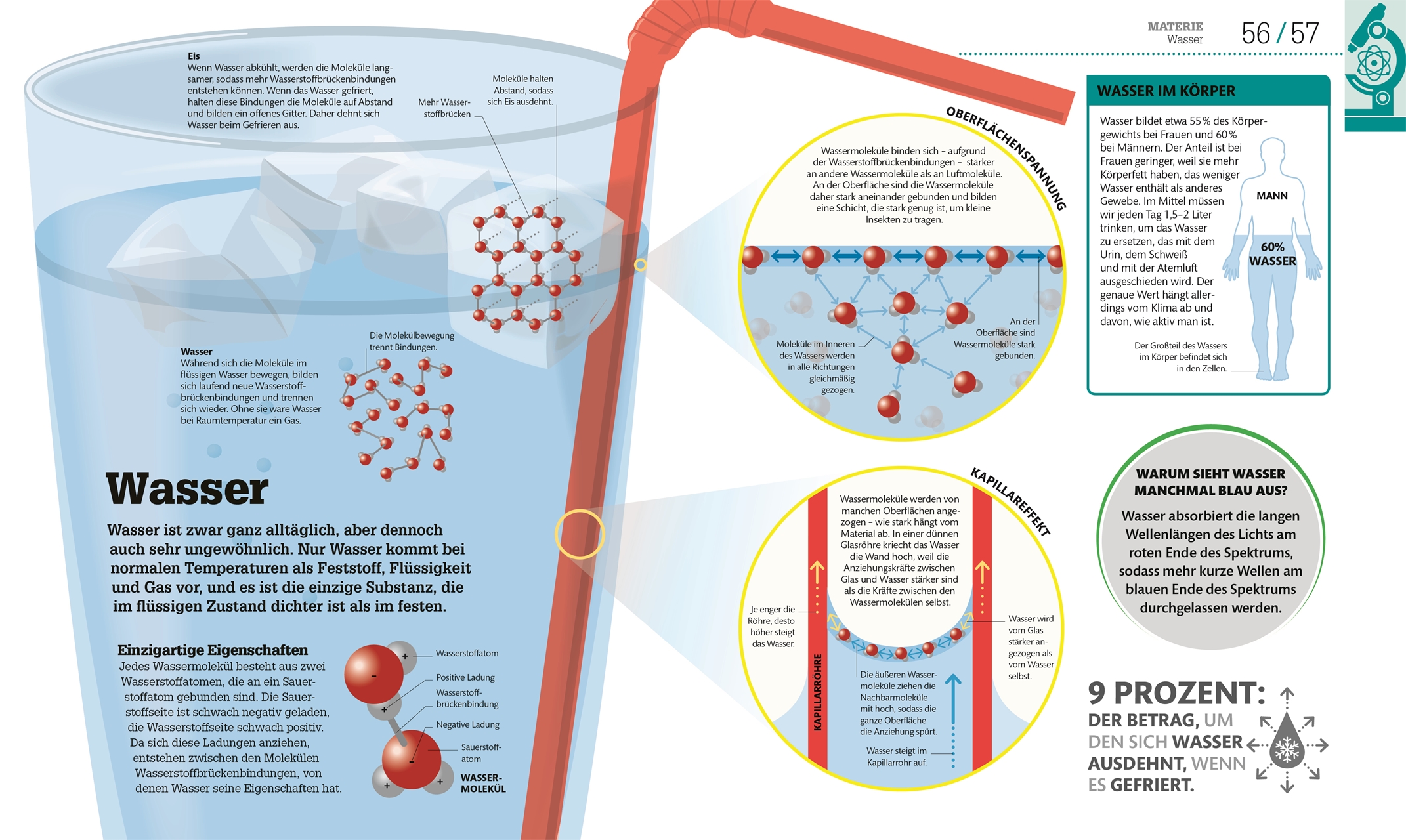 #dkinfografik. Naturwissenschaften #dkinfografik. Naturwissenschaften