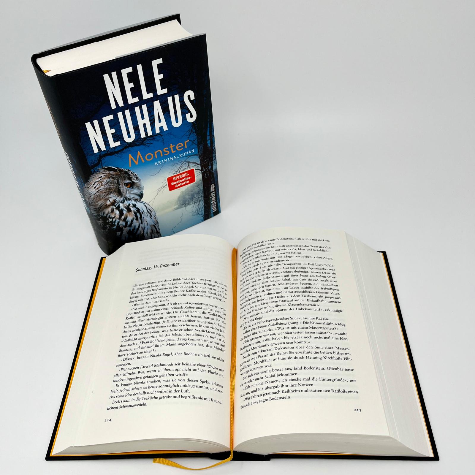 Monster (Ein Bodenstein-Kirchhoff-Krimi 11)