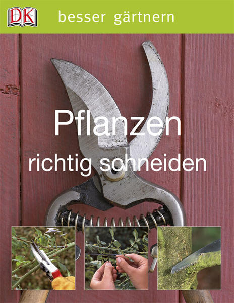 Pflanzen richtig schneiden Pflanzen richtig schneiden