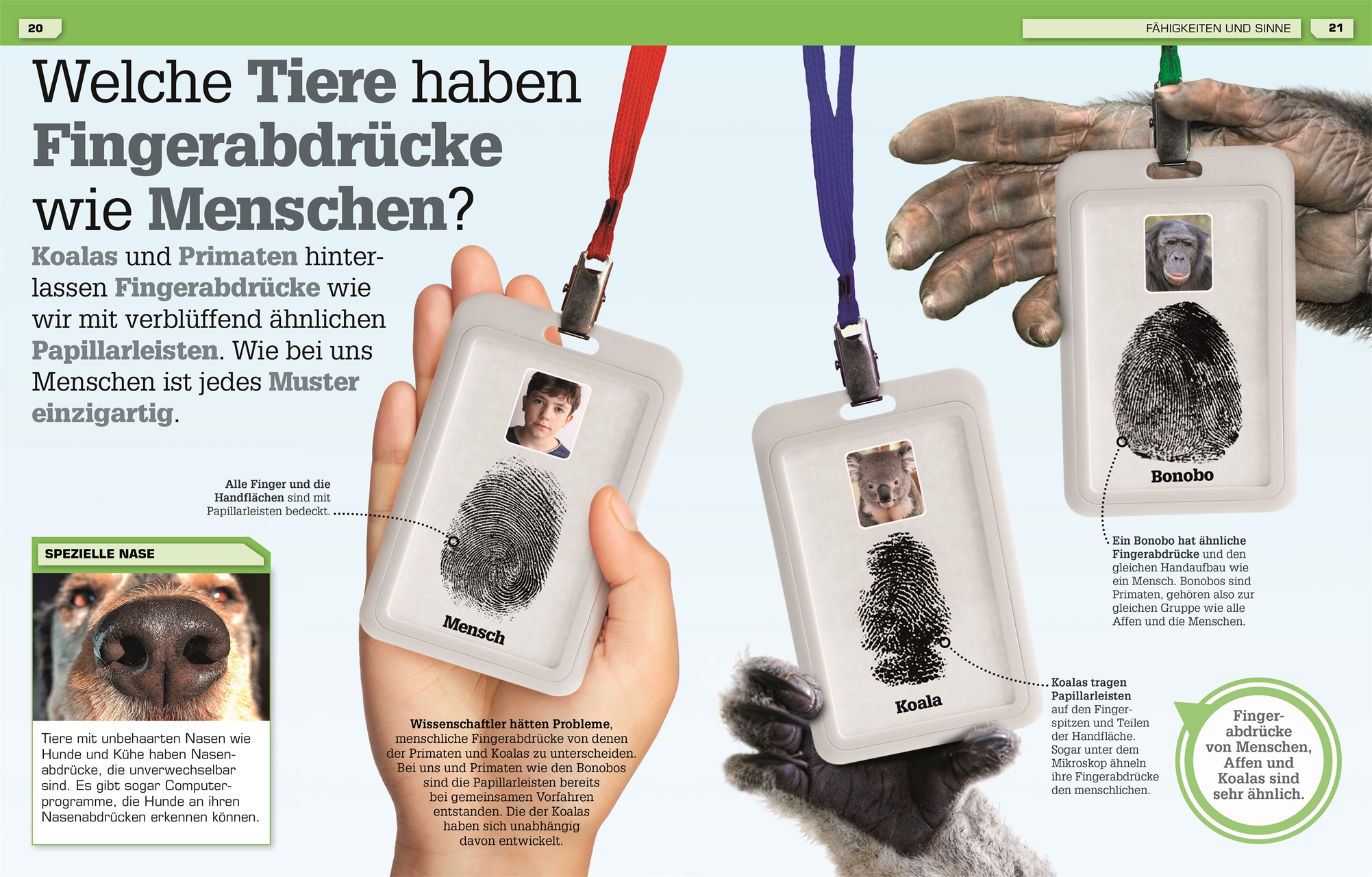 Total verrückte Tiere