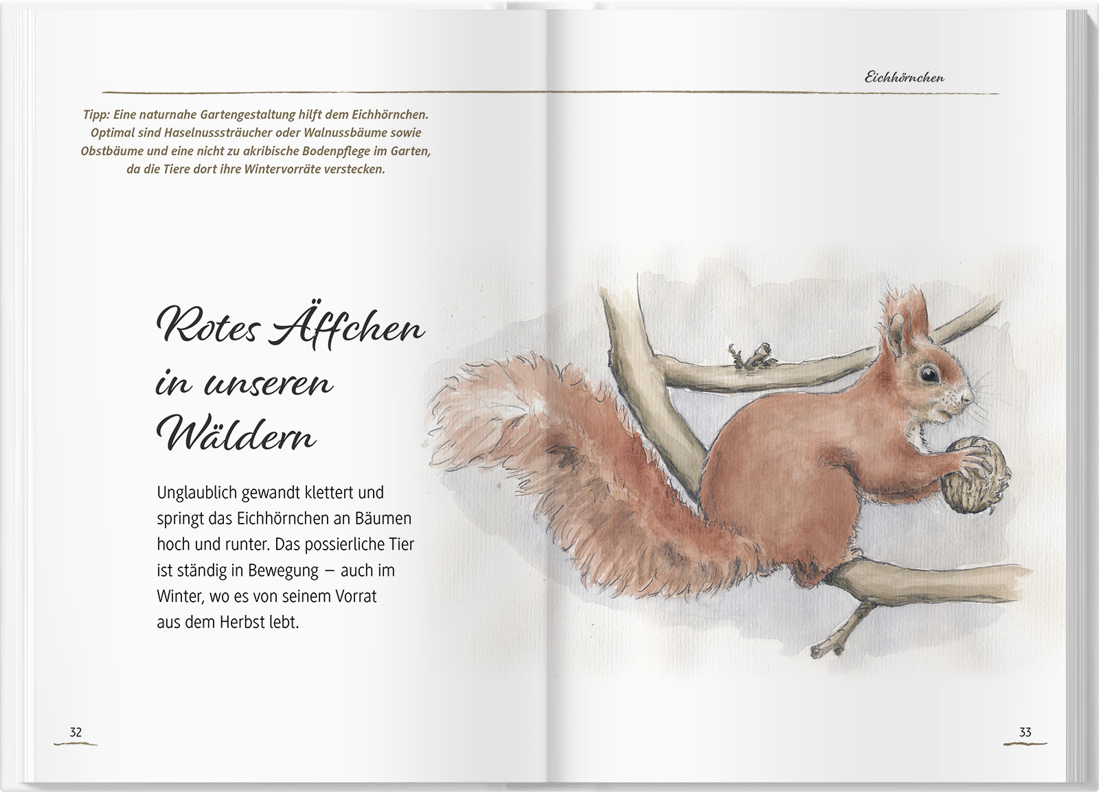 Von Elstern, Eichhörnchen und Erdhummeln Von Elstern, Eichhörnchen und Erdhummeln
