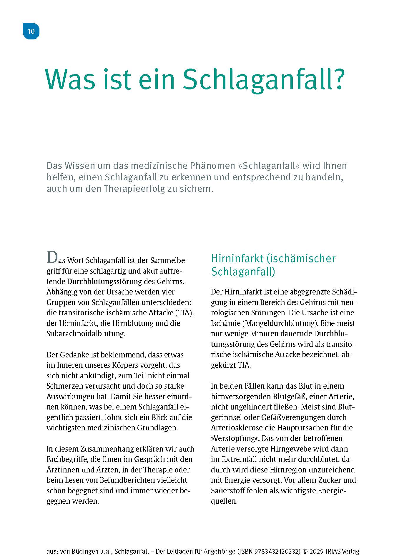 Schlaganfall - Der Leitfaden für Angehörige