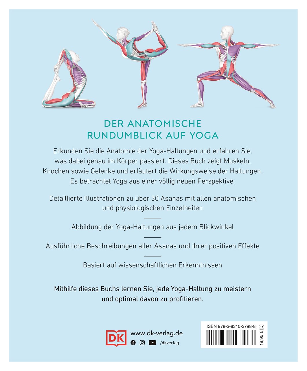 Yoga verstehen - Die Anatomie der Yoga-Haltungen