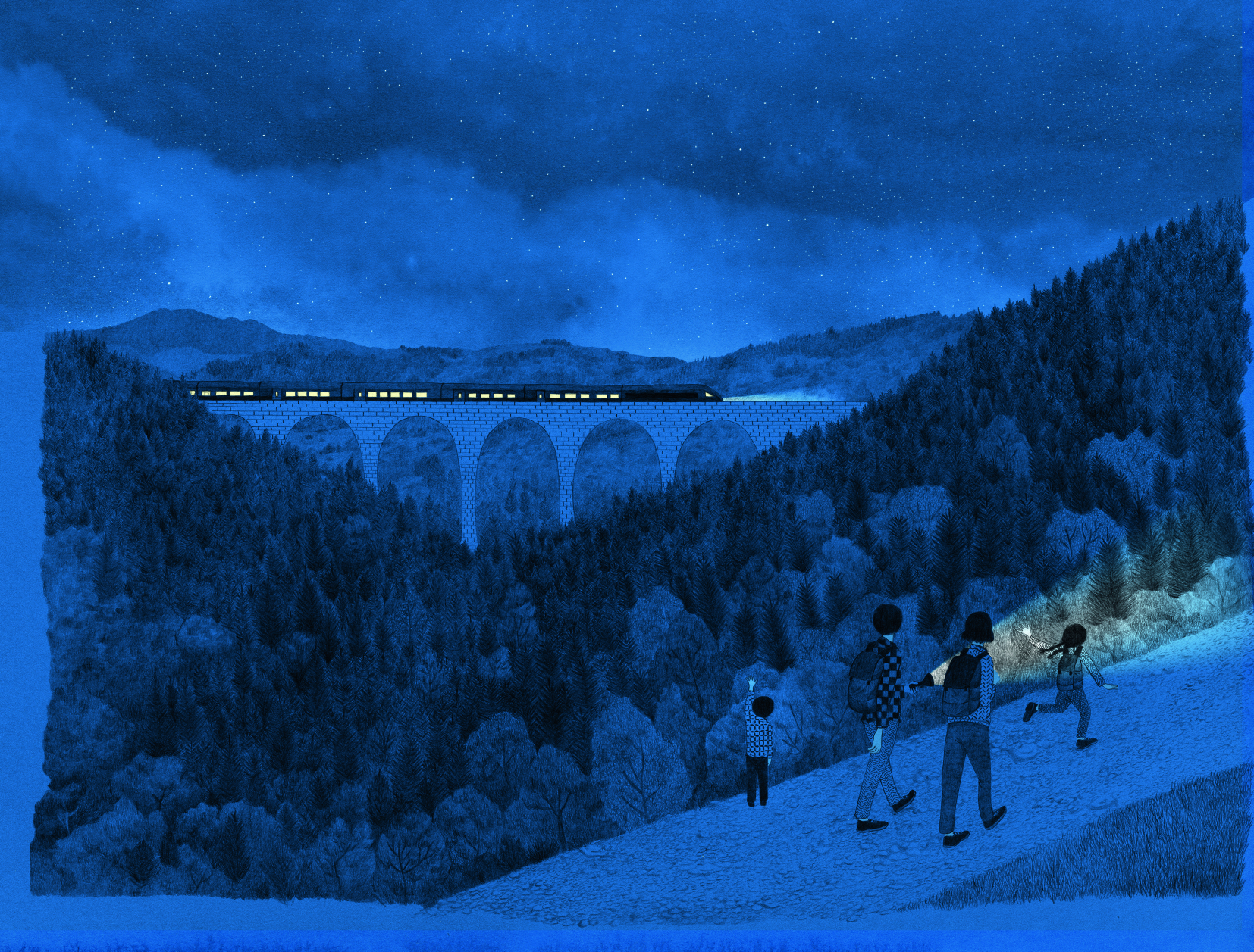 Auf leisen Sohlen durch die Nacht