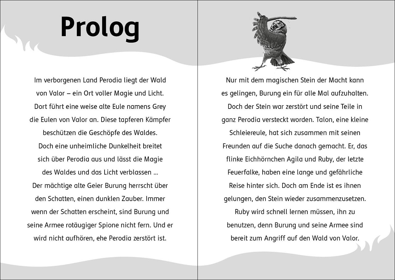 Der letzte Feuerfalke und die dunkle Magie (Band 6)
