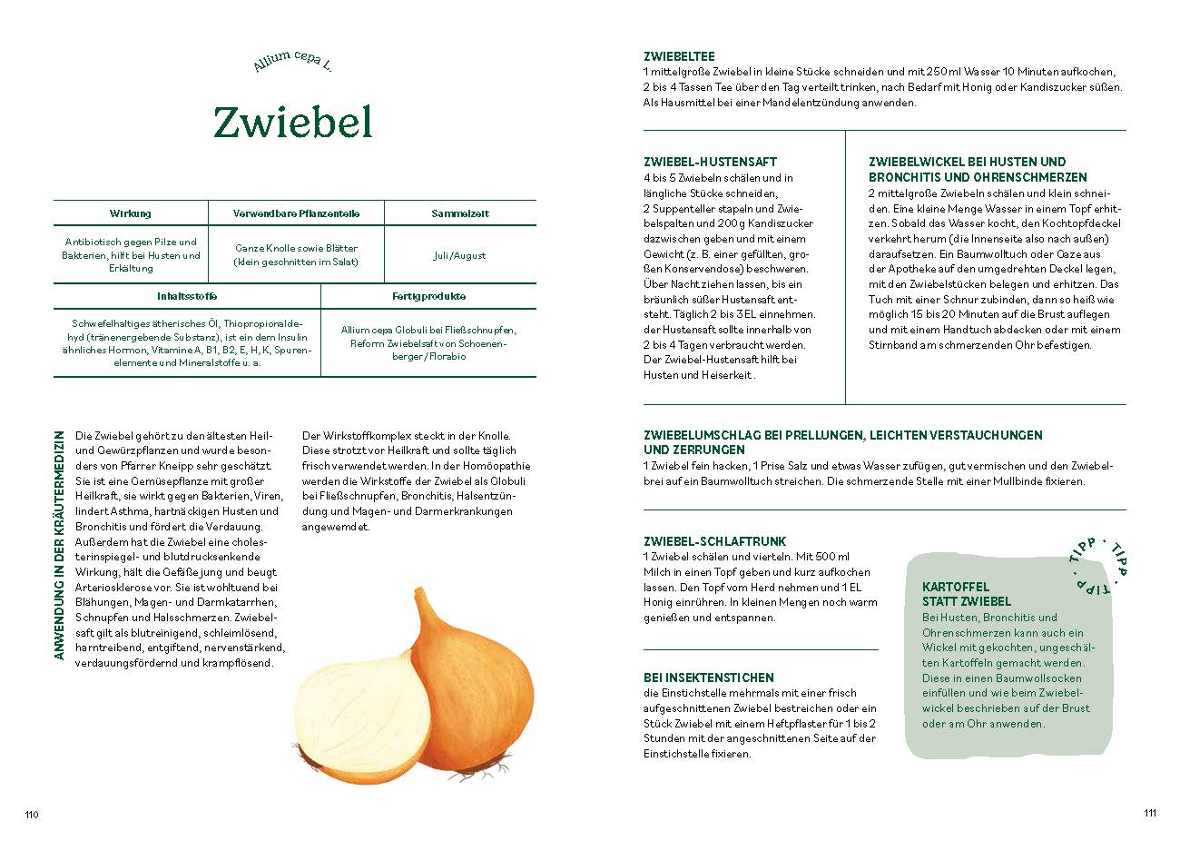 Heilen mit pflanzlichen Antibiotika