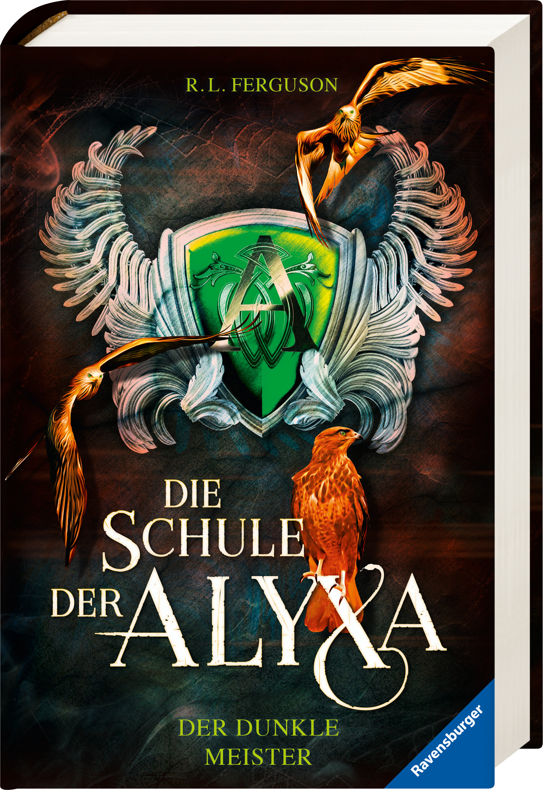 Die Schule der Alyxa, Band 1: Der dunkle Meister