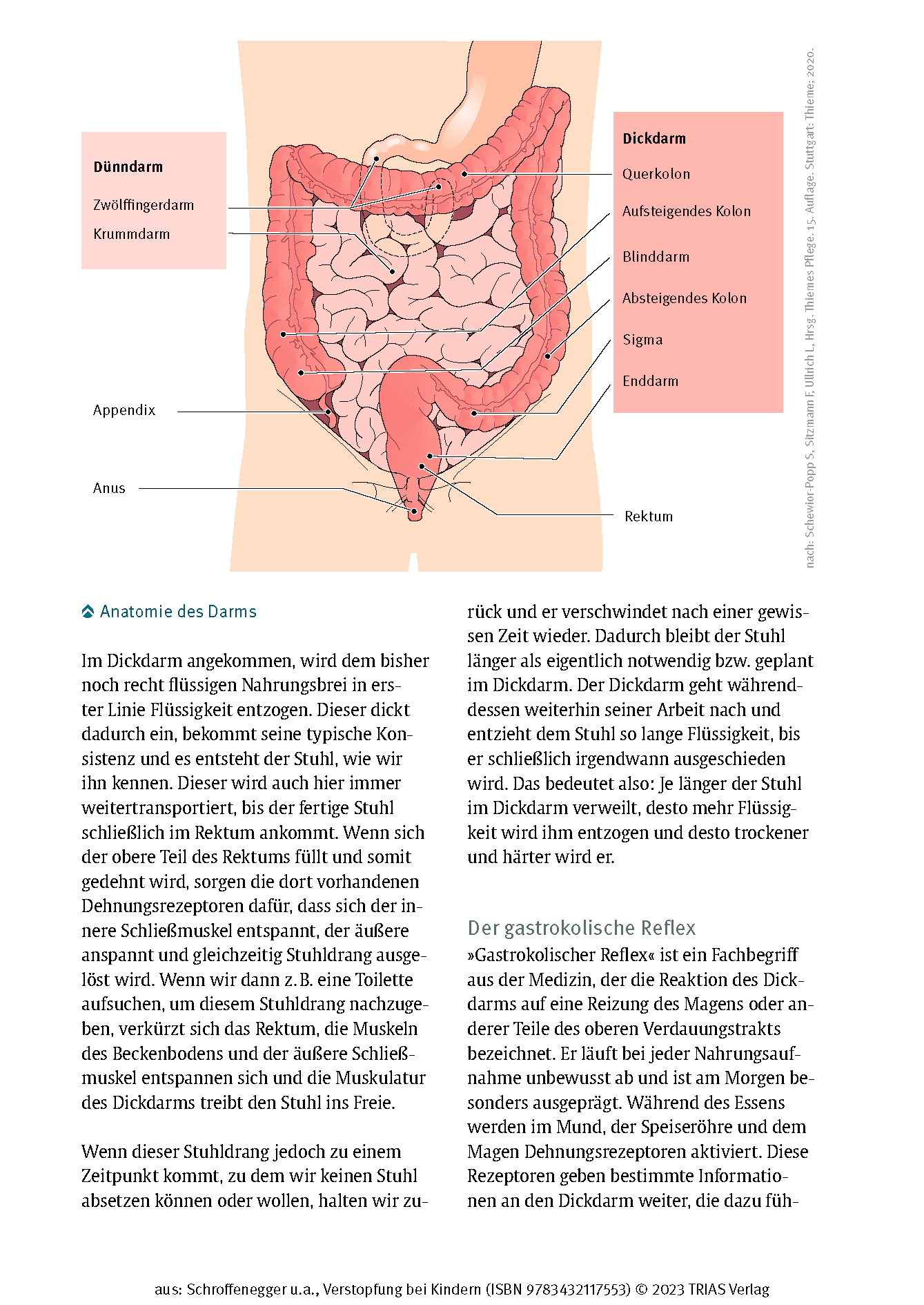 Verstopfung bei Kindern Verstopfung bei Kindern