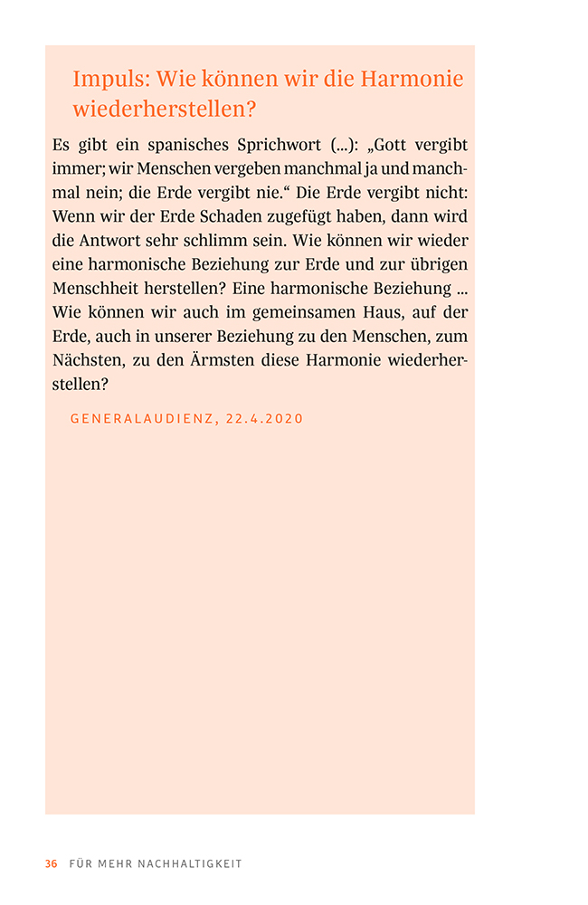 Das Franziskus-Prinzip Das Franziskus-Prinzip