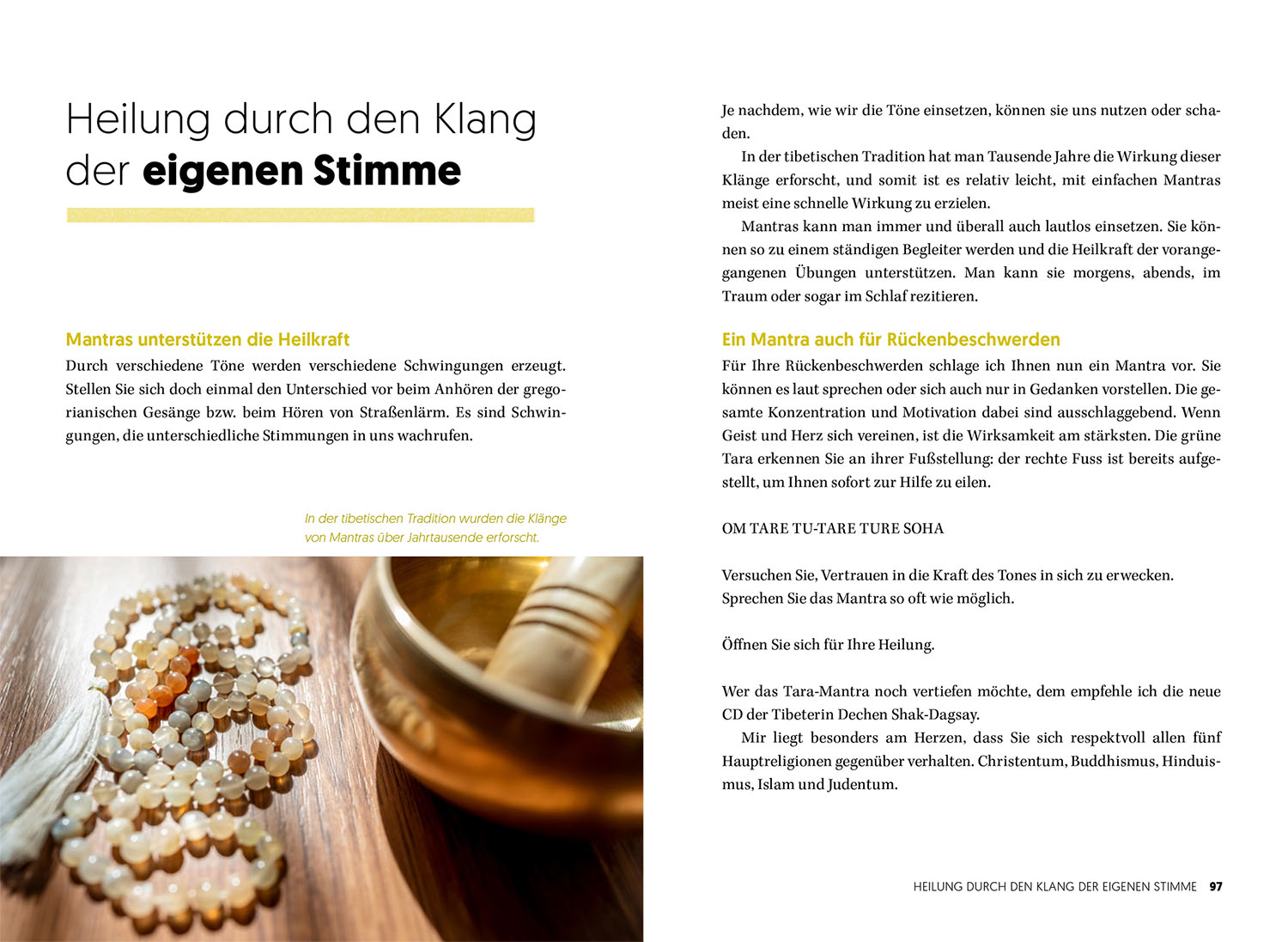 Das Rücken-Heilbuch Das Rücken-Heilbuch