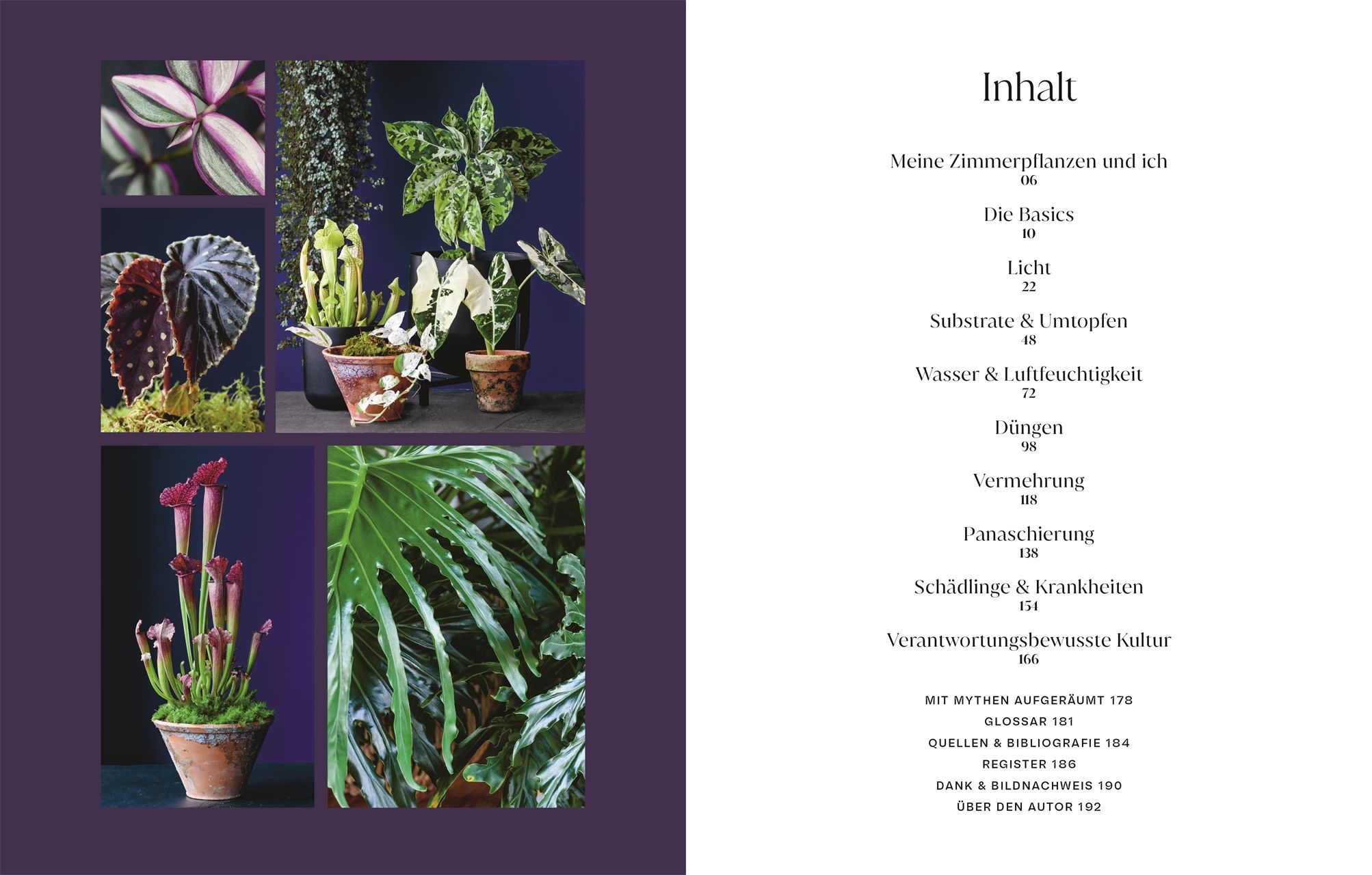 Urban Jungle Style