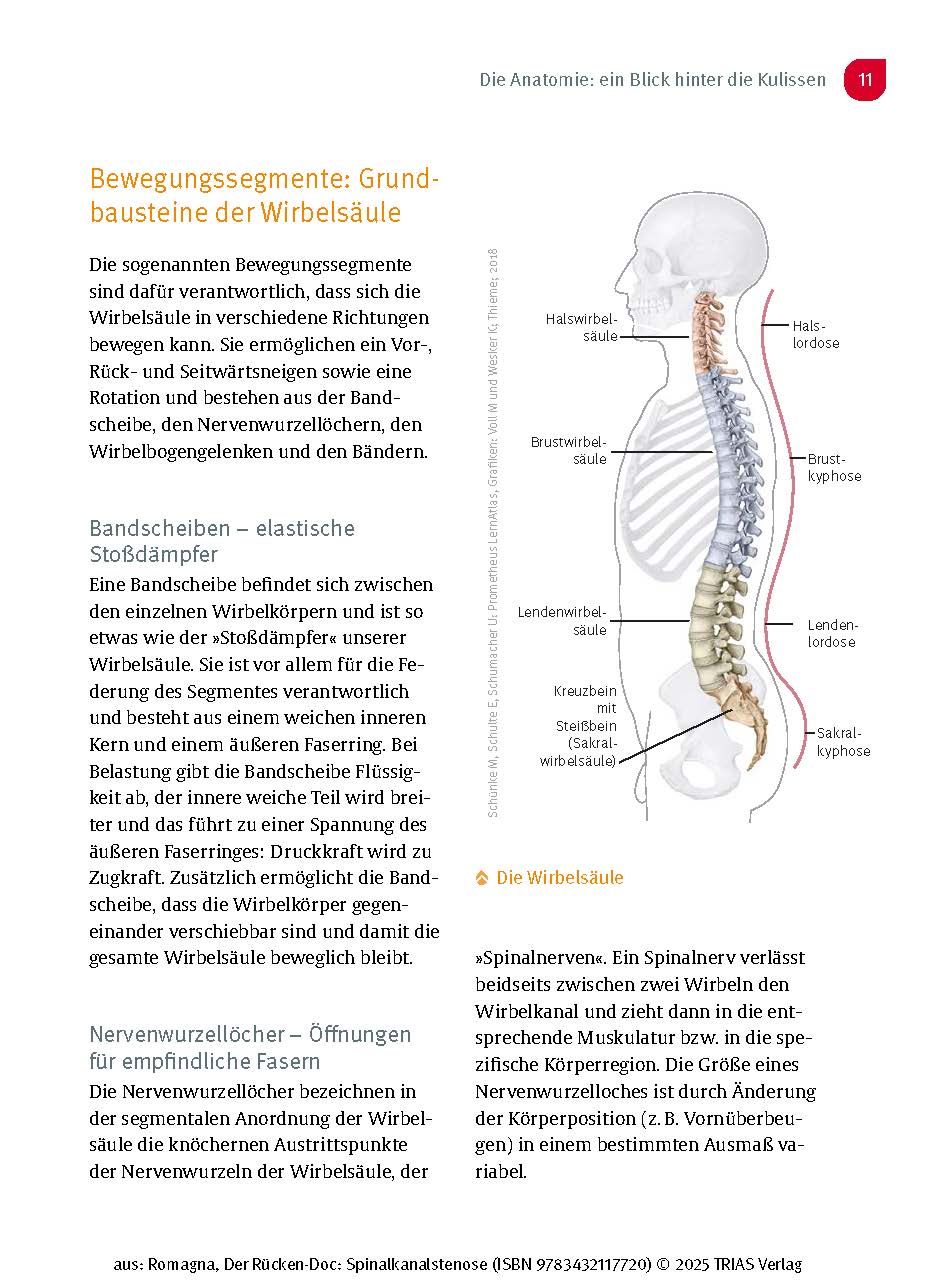 Der Rücken-Doc: Spinalkanalstenose