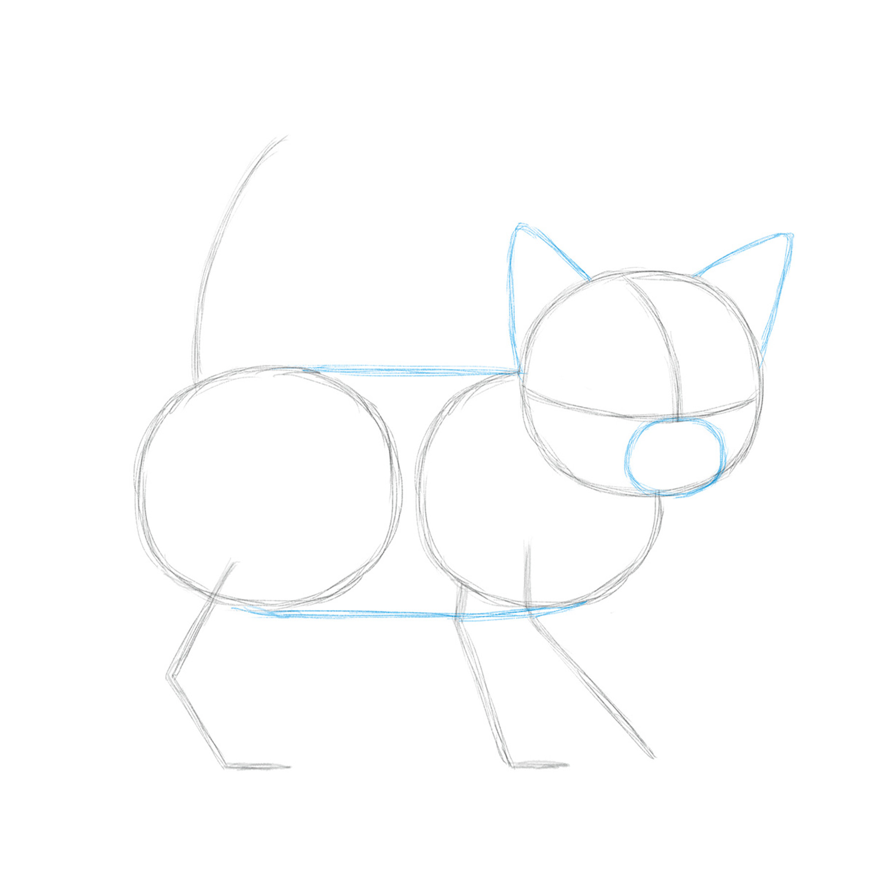 Die Kunst des Zeichnens für Kinder - Ich zeichne Katzen