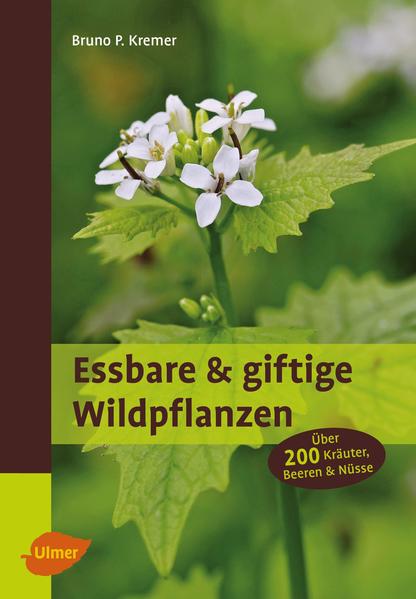 Essbare und giftige Wildpflanzen