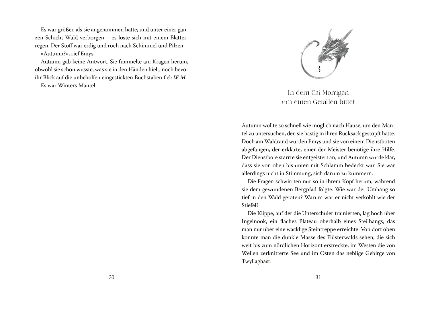 Die Schule am wilden Drachenwald