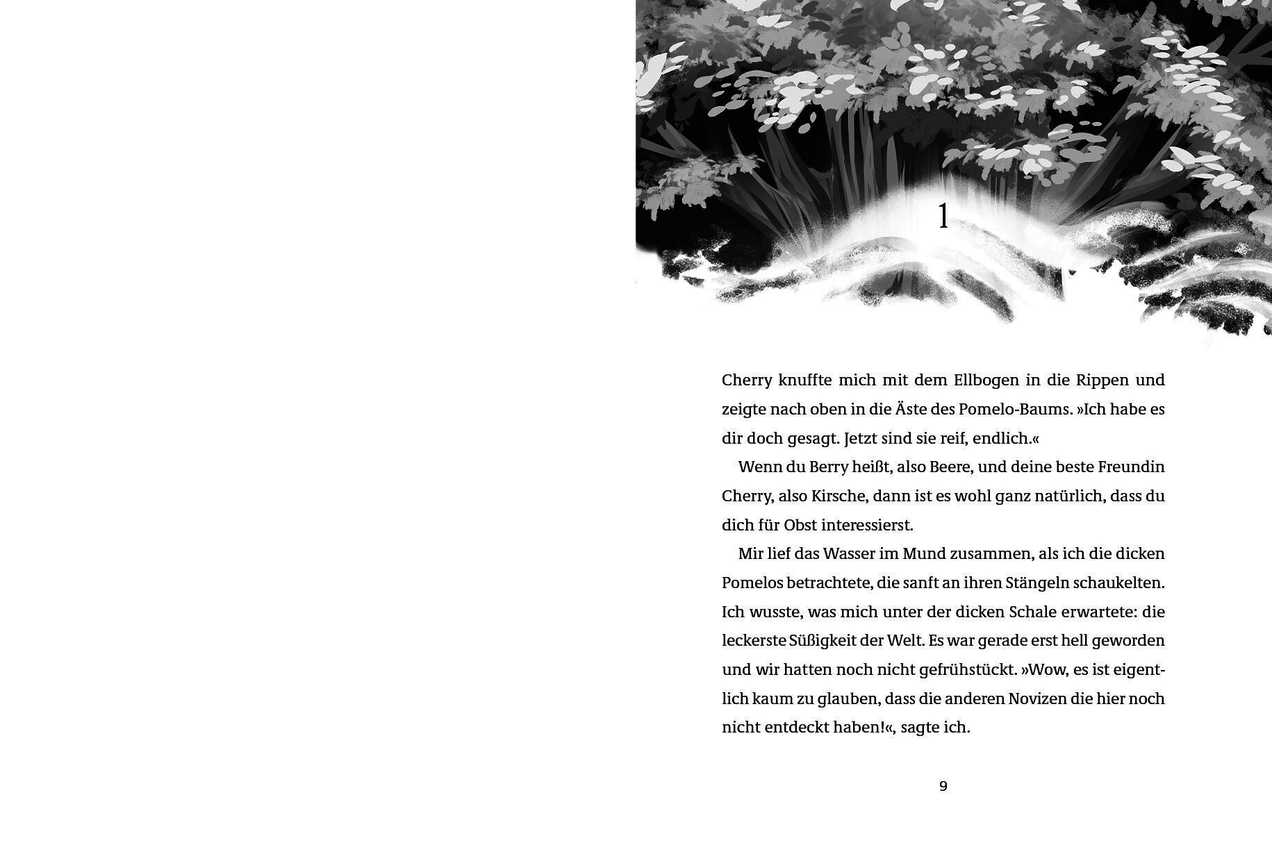 Die Insel der magischen Wächter – Die Schattennebel