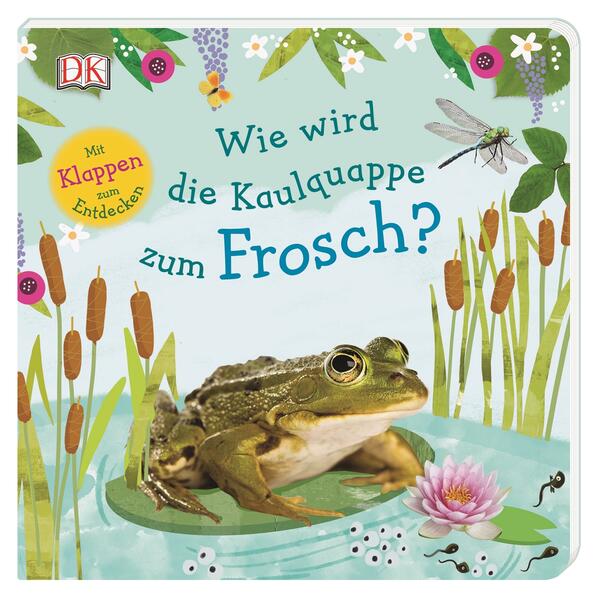 Wie wird die Kaulquappe zum Frosch?