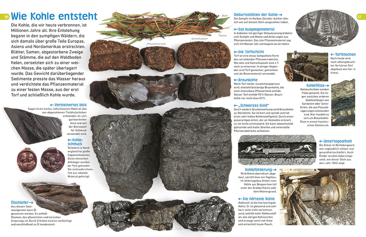 memo Wissen entdecken. Gesteine & Mineralien